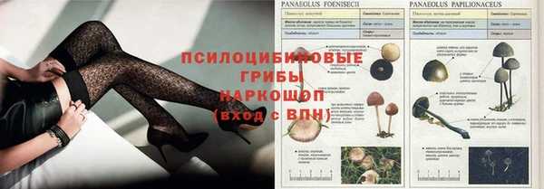 скорость Зерноград