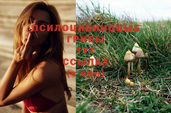 скорость Зерноград