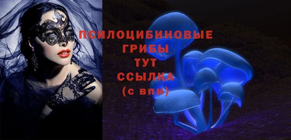 МДПВ Зеленокумск
